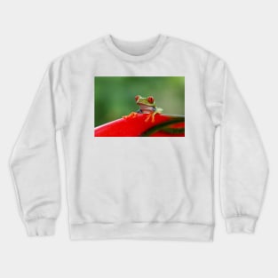 Red-eyed Tree Frog - Costa Rica Crewneck Sweatshirt